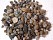 Галька цветная мелкая, 20-40 мм